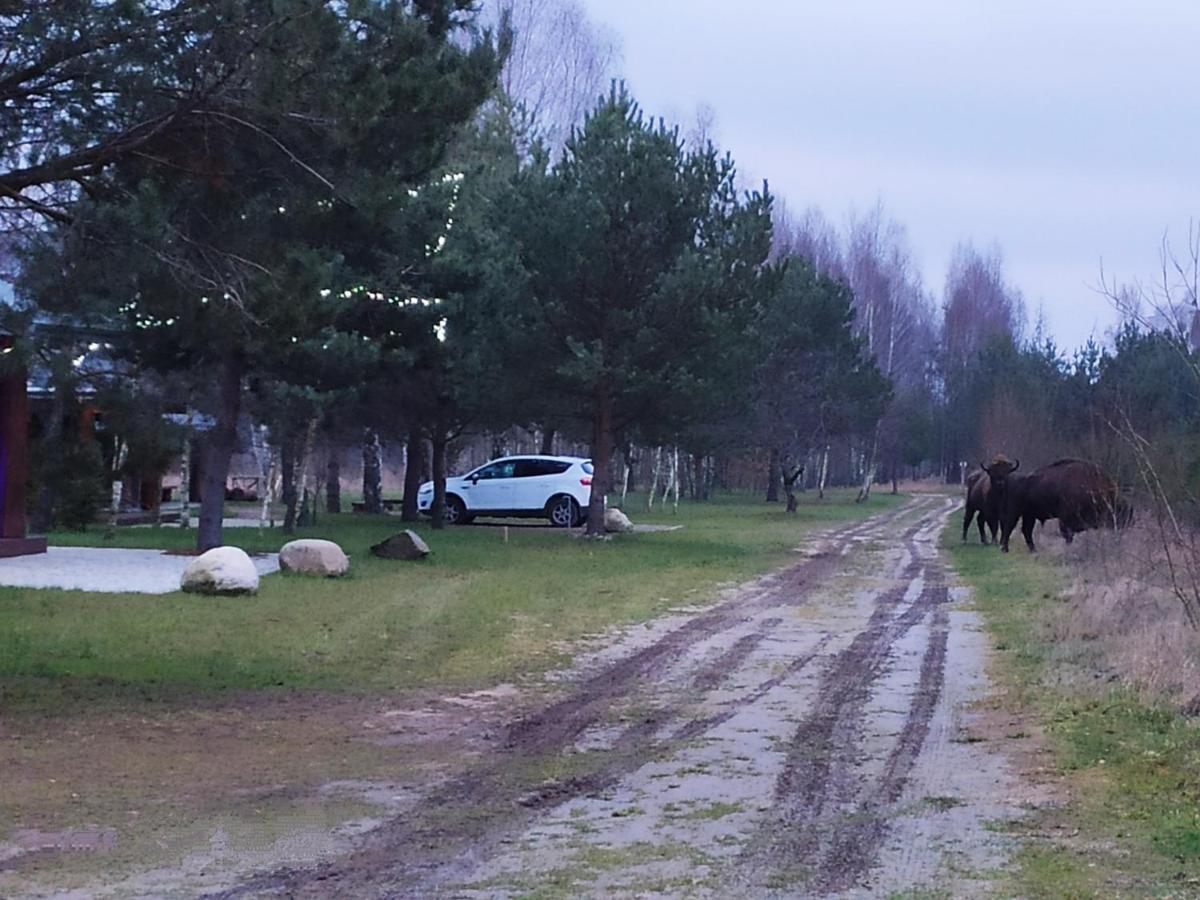 Swironek Villa Białowieża Eksteriør bilde